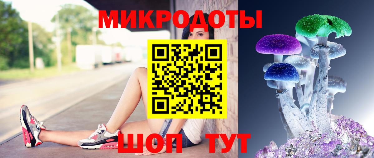 Галлюциногенные грибы MAGIC MUSHROOMS  Вход с VPN  Вологда  Галлюциногенные грибы GOLDEN TEACHER 